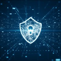 VAPT & Cyber <br> Security Defence